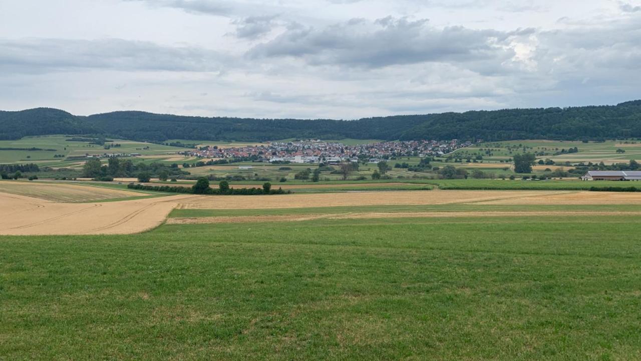 Rieth Apartment Durbheim